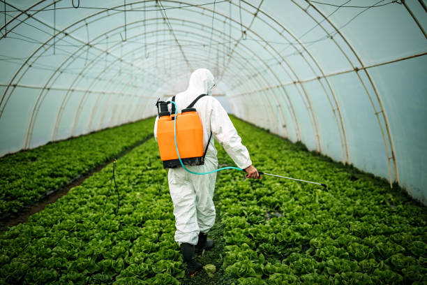 Best Pest Removal Services  in Adel, IA