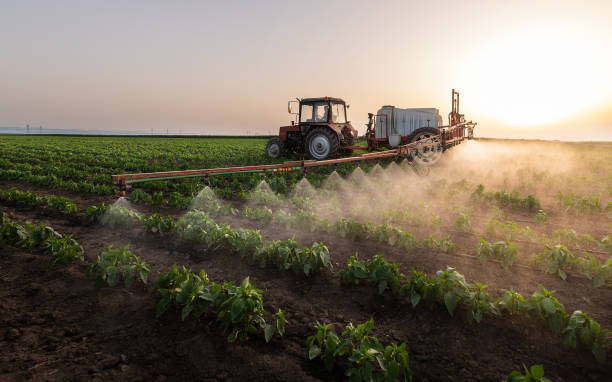 Best Pest Control Cost  in Adel, IA