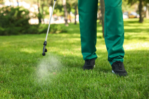 Best Residential Pest Control  in Adel, IA