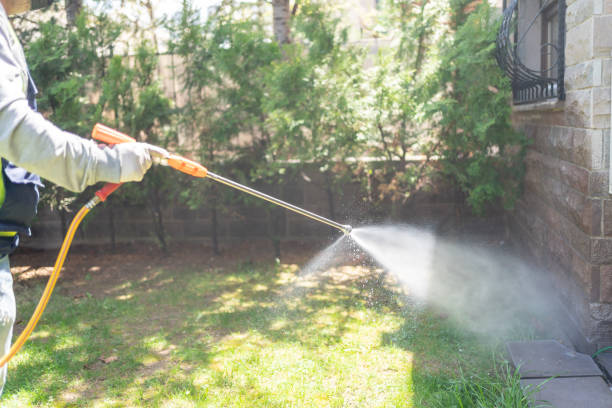 Best Termite Control Services  in Adel, IA