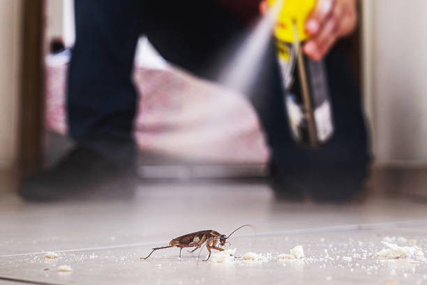 Best Best Pest Control Companies  in Adel, IA