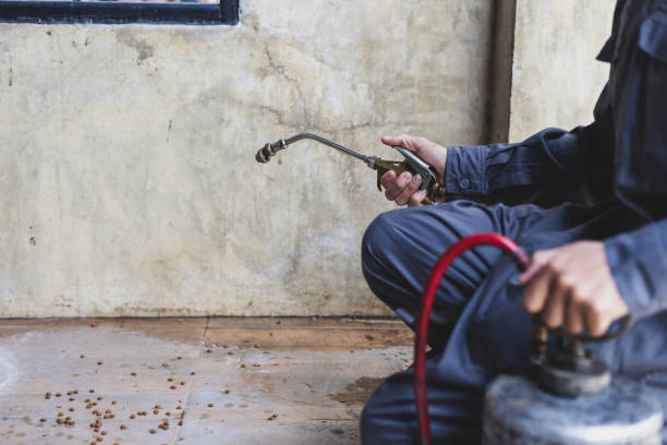 Best Flea Control Services  in Adel, IA