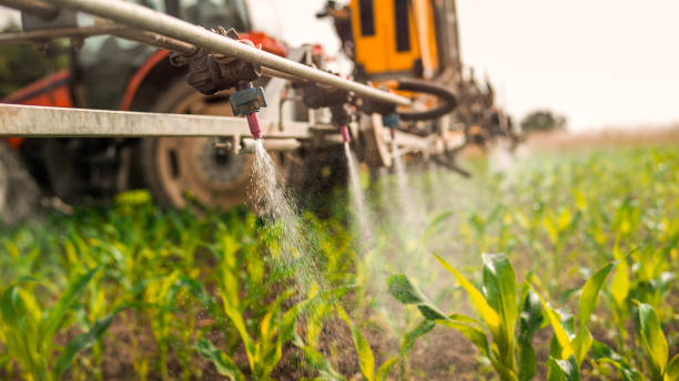 Pest Control for Restaurants in Adel, IA