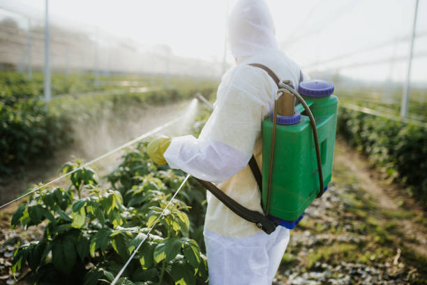 Best Insect Control  in Adel, IA